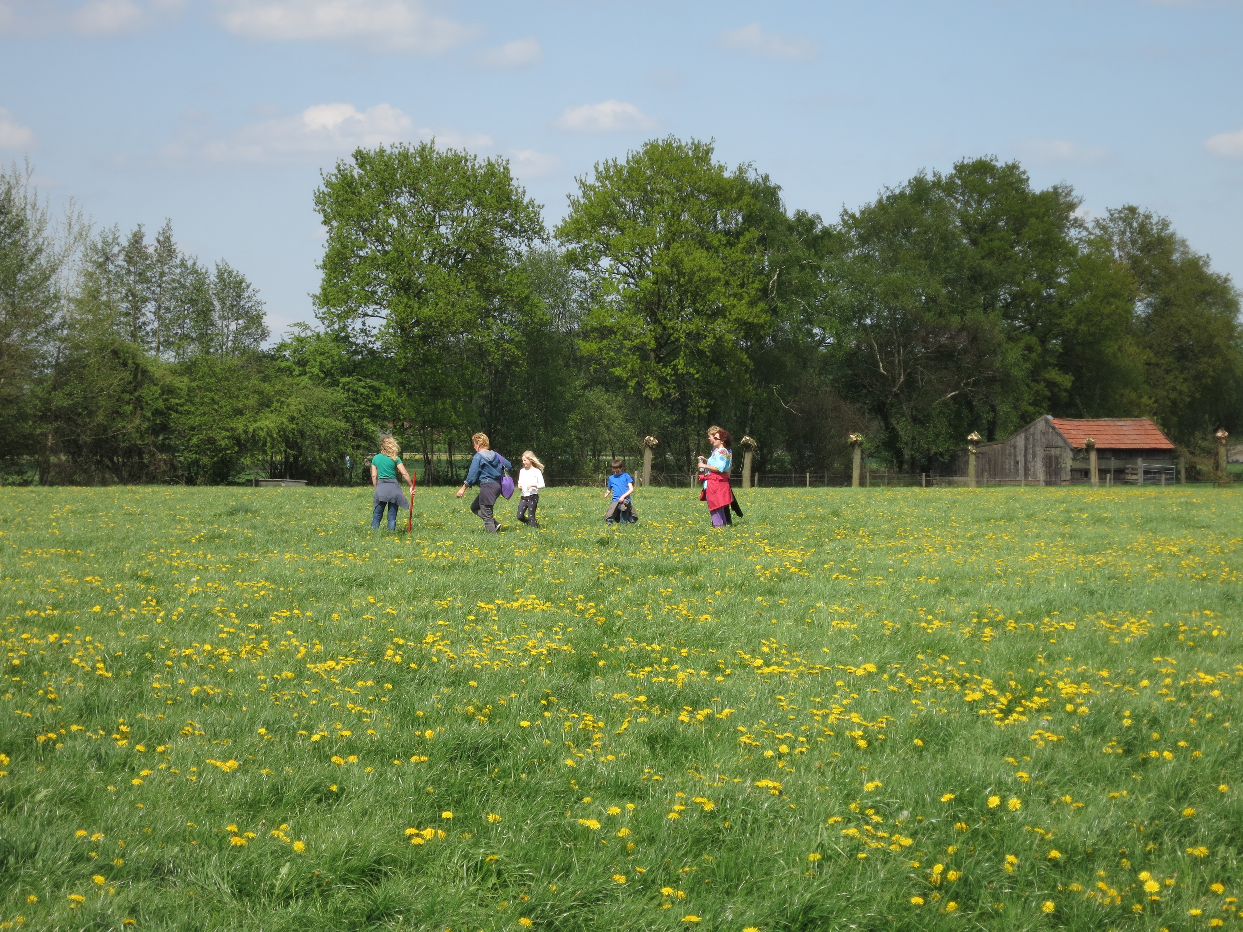HWK Wekerom031.jpg